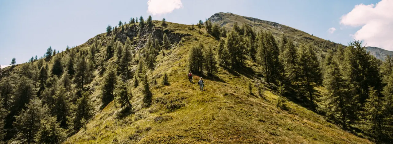 Ein Mann und eine Frau fahren mit dem Mountainbike auf einem Grasweg durch eine malerische Hügellandschaft. Sie tragen Helme und Radsportbekleidung und lächeln sich unter einem klaren blauen Himmel an.