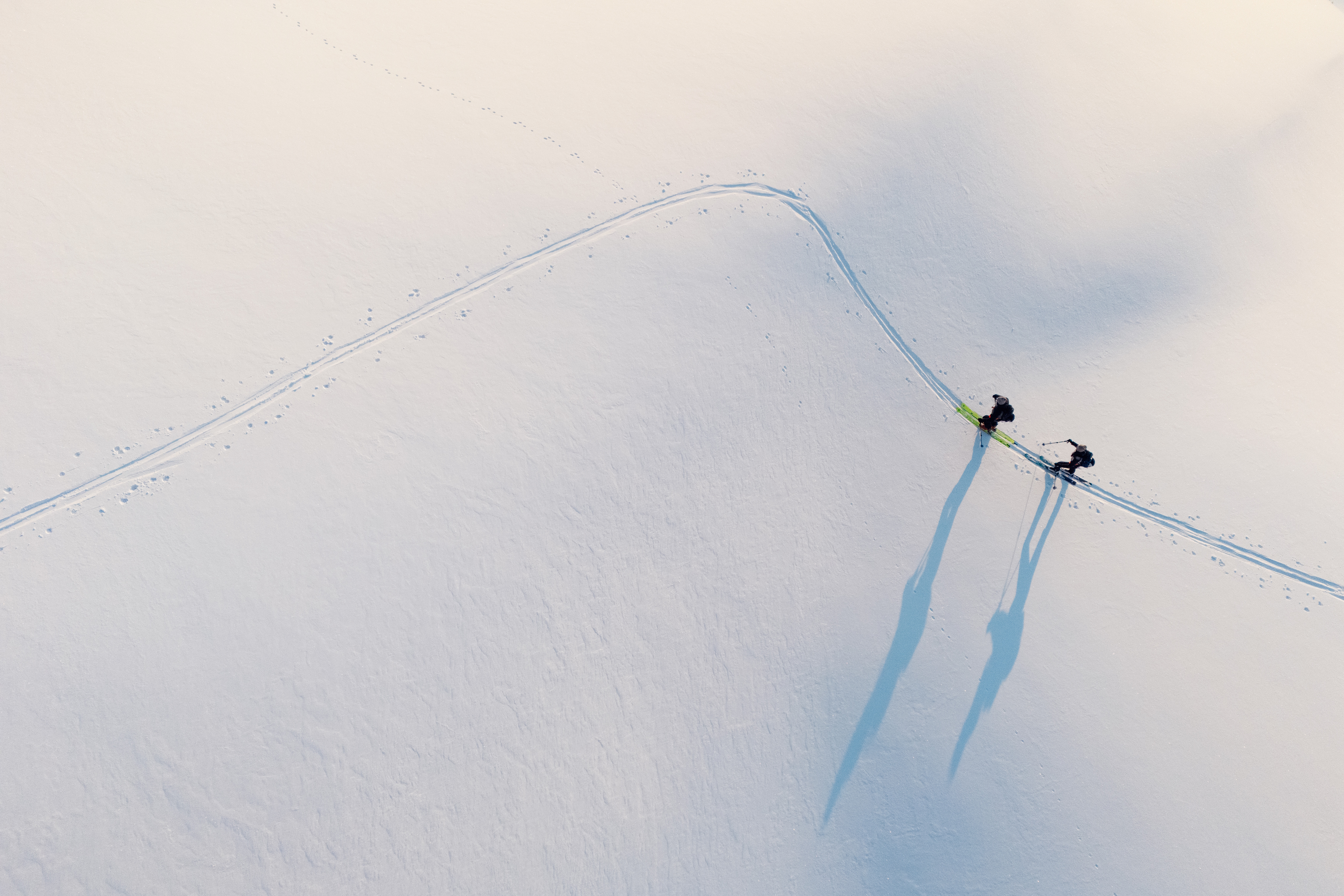 Zwei Skitourengeher steigen bei Sonnenlicht eine unberührte Schneefläche hinauf und werfen lange Schatten.