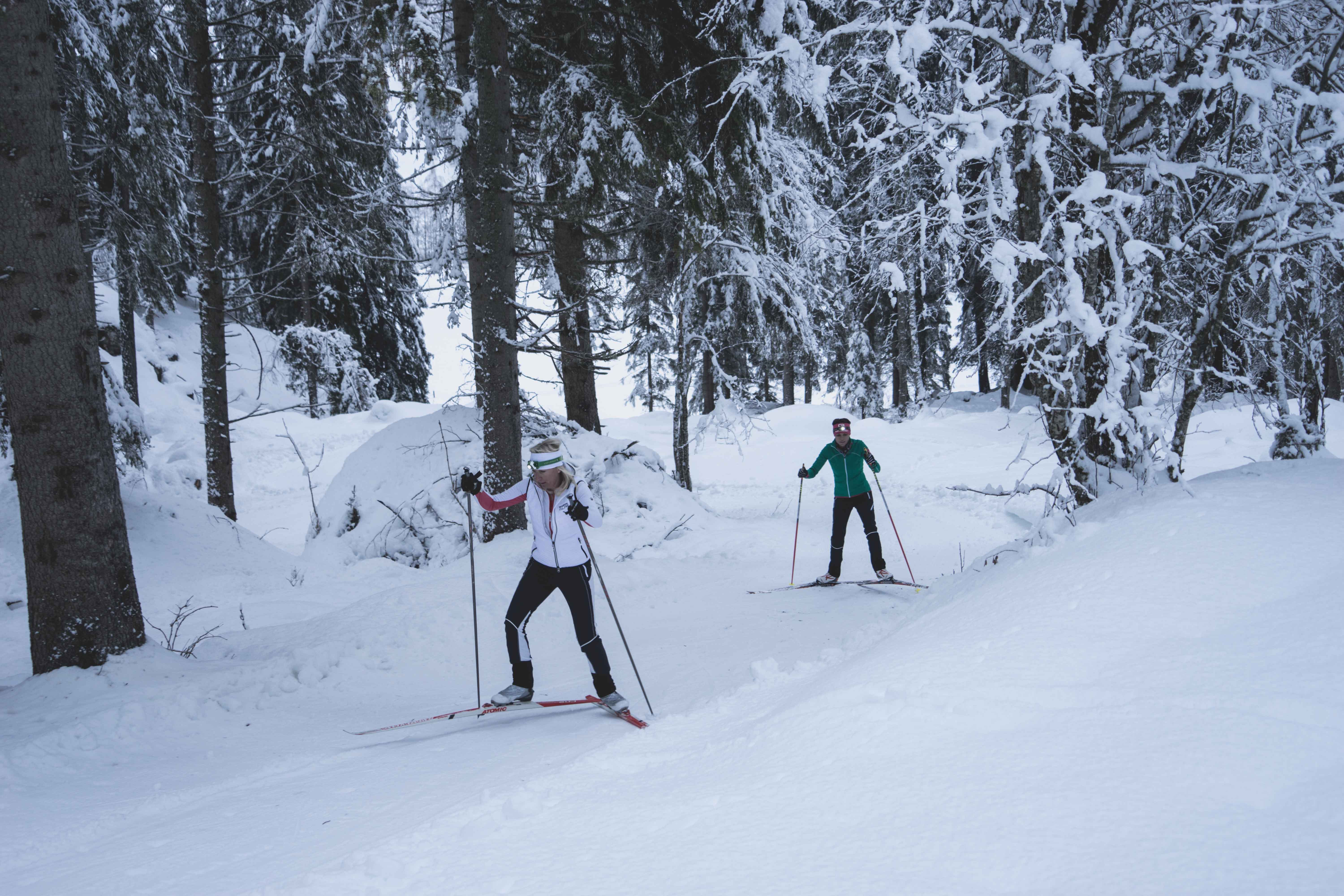 Zwei Langläufer gleiten auf schmalen Skiern durch einen verschneiten Wald mit hohen, schneebedeckten Bäumen.