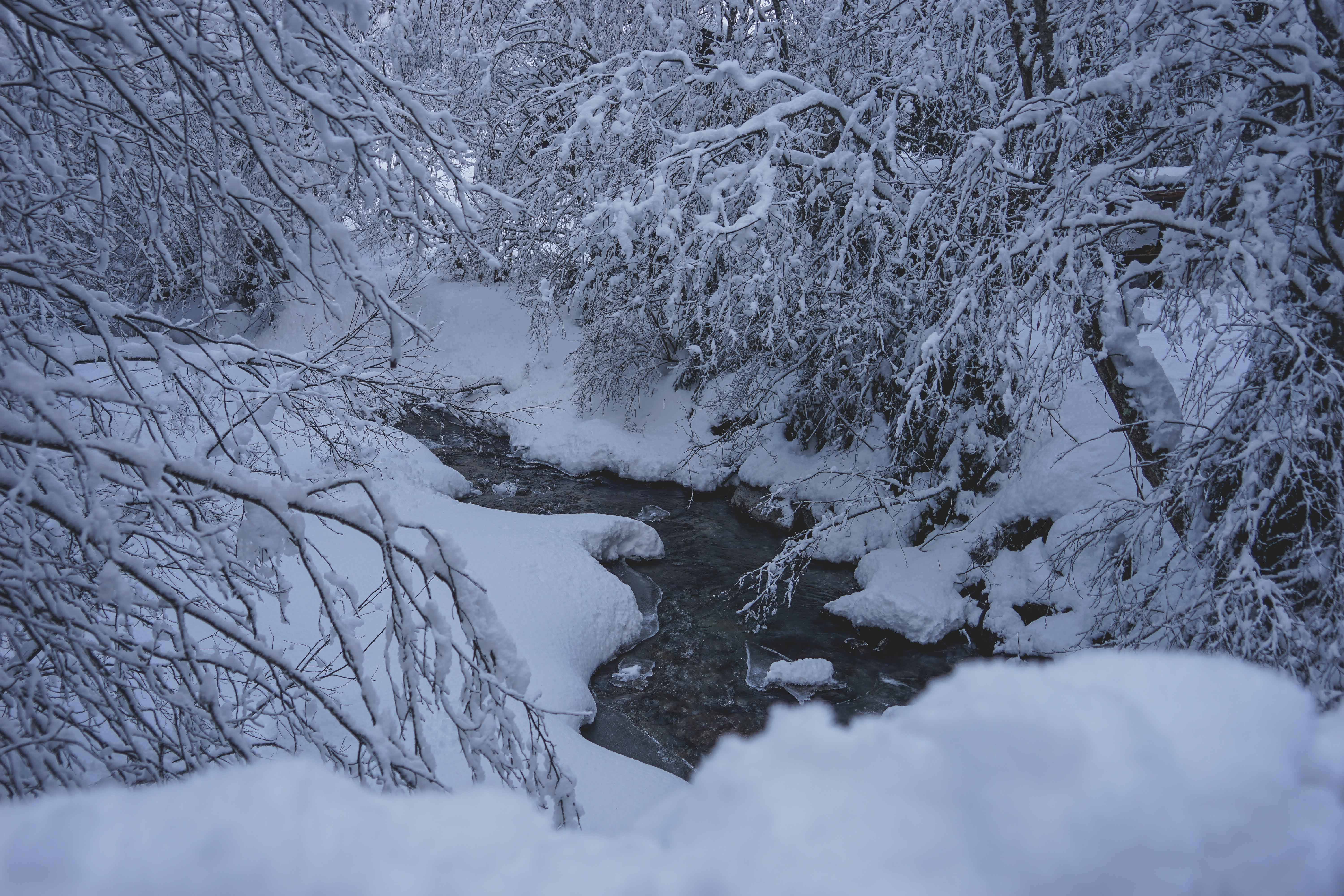 Ein schmaler Bach fließt durch einen schneebedeckten Wald, dessen Bäume auf beiden Seiten schwer mit Schnee beladen sind. Die Szene ist ruhig und winterlich, mit einer sanften, gedämpften Farbpalette.