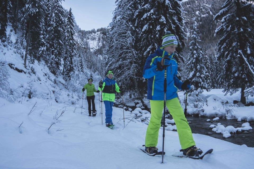 Drei Personen wandern mit Schneeschuhen und Stöcken durch einen verschneiten Winterwald entlang eines Baches.