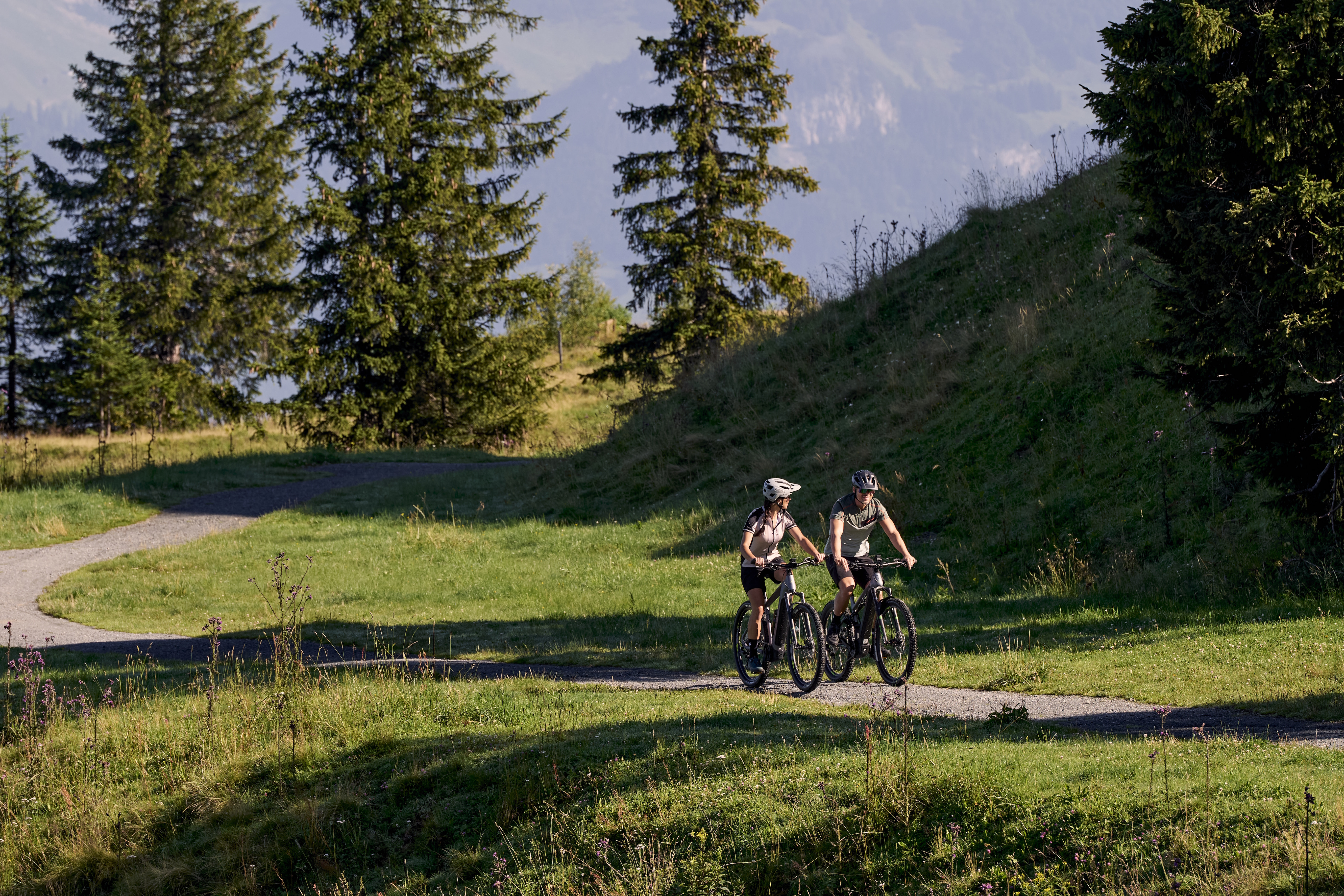Zwei Personen mit Helmen fahren mit dem Fahrrad auf einem gewundenen Pfad durch eine Graslandschaft mit hohen Bäumen im Hintergrund. Die Szene ist in warmes Sonnenlicht getaucht und lässt einen angenehmen Tag vermuten.