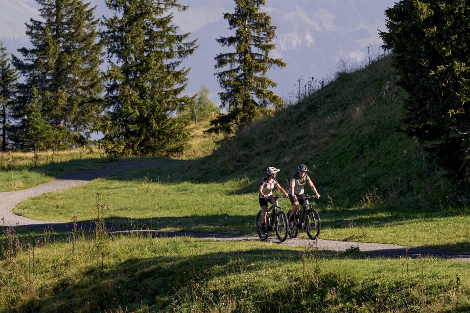 Zwei Personen mit Helmen fahren mit dem Fahrrad auf einem gewundenen Pfad durch eine Graslandschaft mit hohen Bäumen im Hintergrund. Die Szene ist in warmes Sonnenlicht getaucht und lässt einen angenehmen Tag vermuten.
